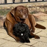 Clifton Beach, Tasmania, Australia