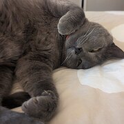 Fraser, Australian Capital Territory, Australia