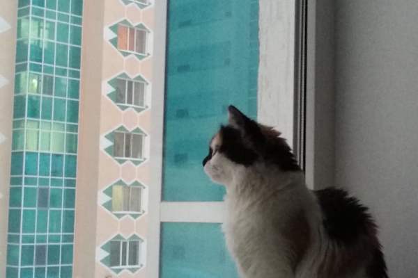 Astana, Astana Qalasy, Kazakhstan