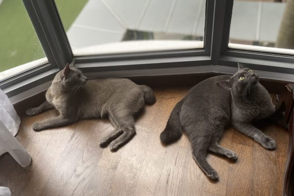 Singapore, Central Singapore, Singapore