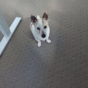 Crace, Australian Capital Territory, Australia