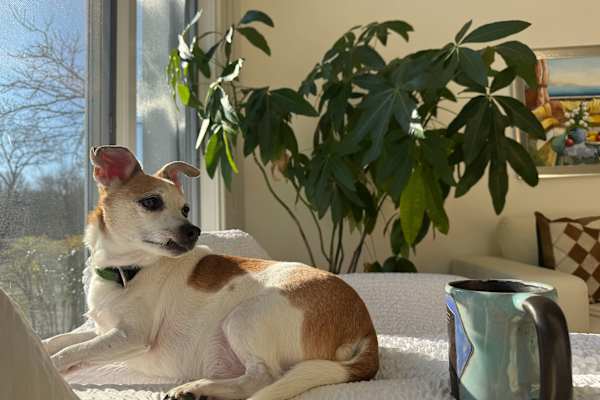 Owings Mills, Maryland, United States