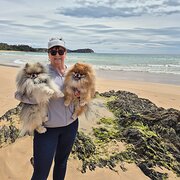 Amaroo, Australian Capital Territory, Australia