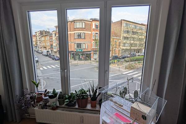 Brussels, Brussels Capital, Belgium