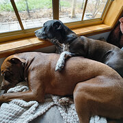 Woodcroft, South Australia, Australia