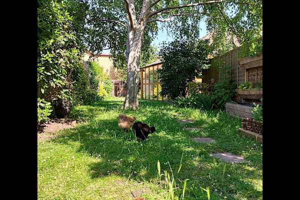 Cambridge, England, United Kingdom