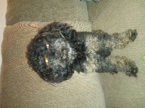 Alamo Ranch, San Antonio, Texas, Texas United States