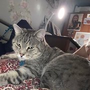 Llandudno, Wales, UK