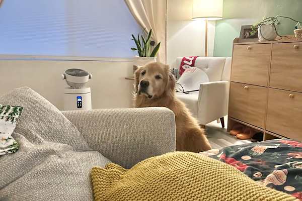 Sacramento, California, United States