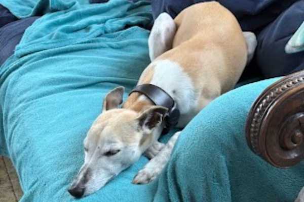 Claremorris, Connaught, Ireland