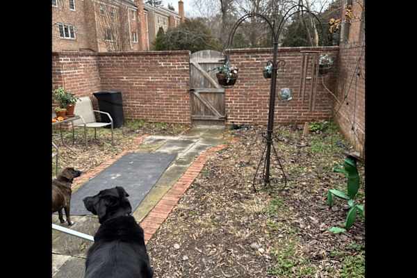 McLean, Virginia, United States