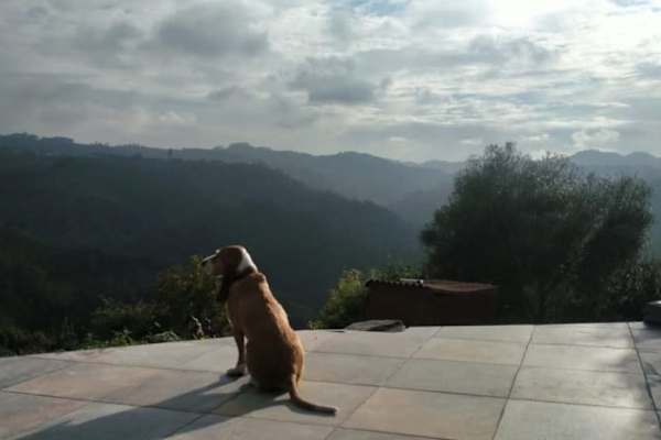 Villaviciosa, Asturias, Spain