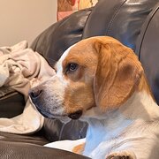 Wallan, Victoria, Australia