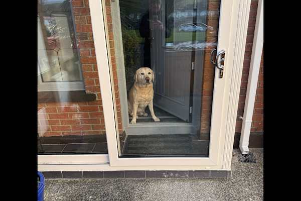 Dublin, Leinster, Ireland