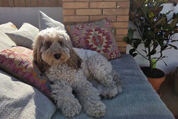 Cubelles, Catalonia, Spain