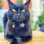 Parkside, South Australia, Australia