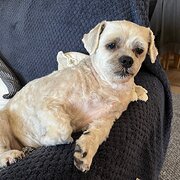 Devonport, Tasmania, Australia