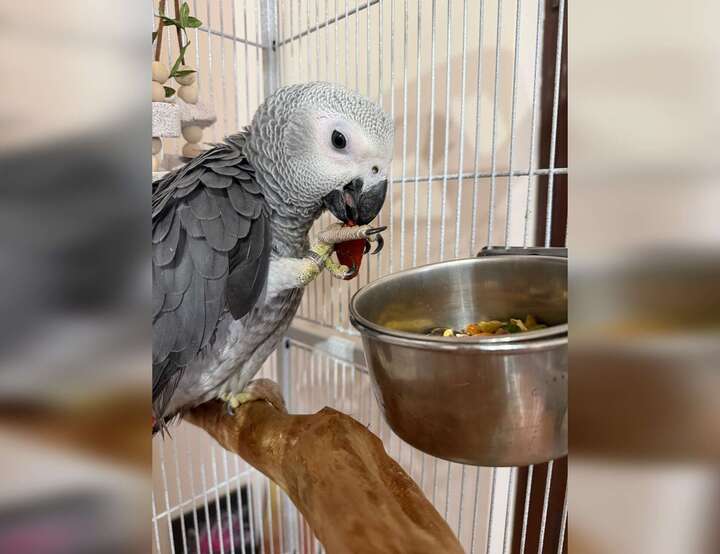 Catania, Sicilia, Italy