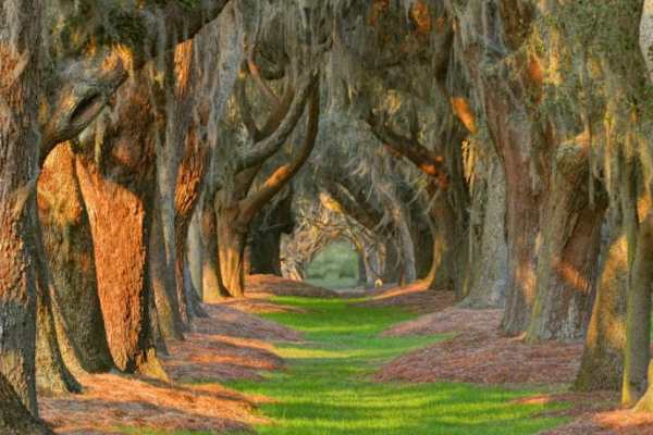 Saint Simons Island, Georgia, United States