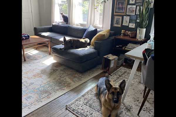 Detroit, Michigan, United States