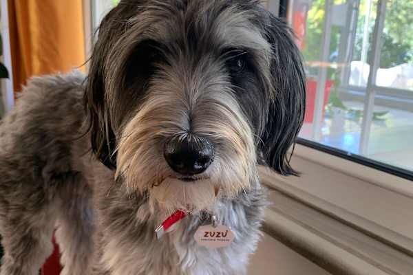 İstanbul, Istanbul, Turkey