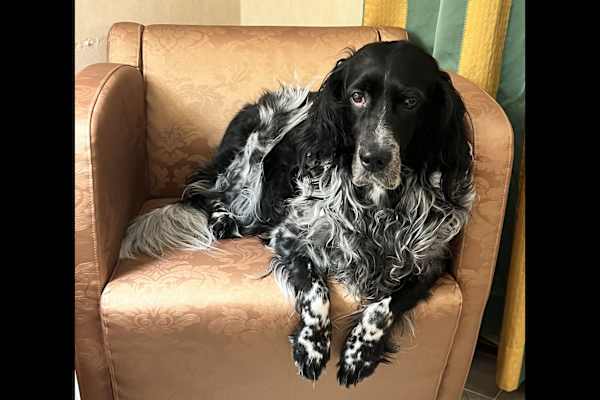 Ibiza, Balearic Islands, Spain