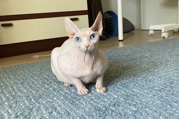 Basel, Basel-City, Switzerland