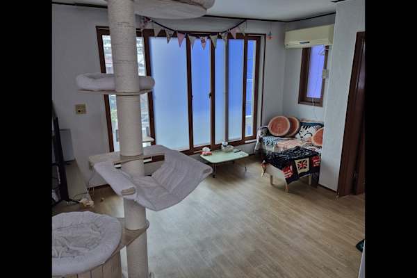 Seoul, Seoul, South Korea