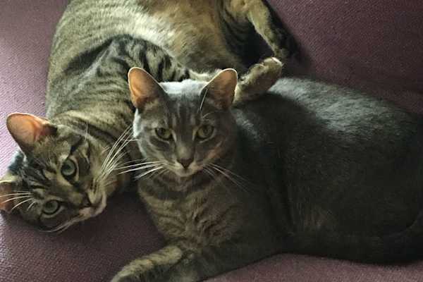 Brooklyn, New York, United States