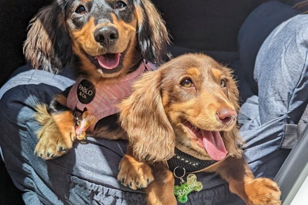 Campbelltown, South Australia, Australia