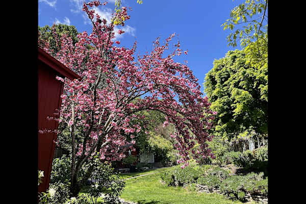 Sebastopol,California,United States