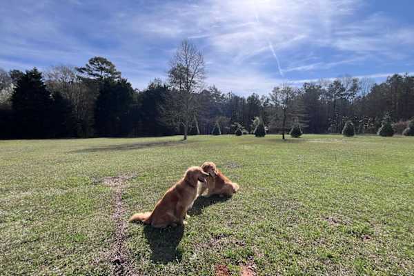 McDonough, Georgia, United States