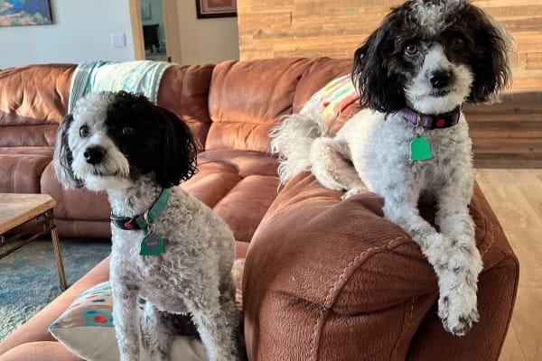 Las Cruces, New Mexico, United States