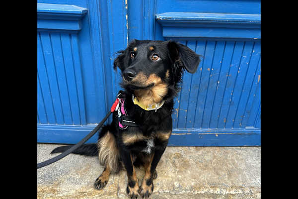 Budapest, Budapest, Hungary