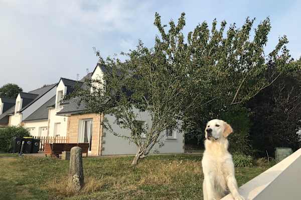 Pluvigner, Brittany, France