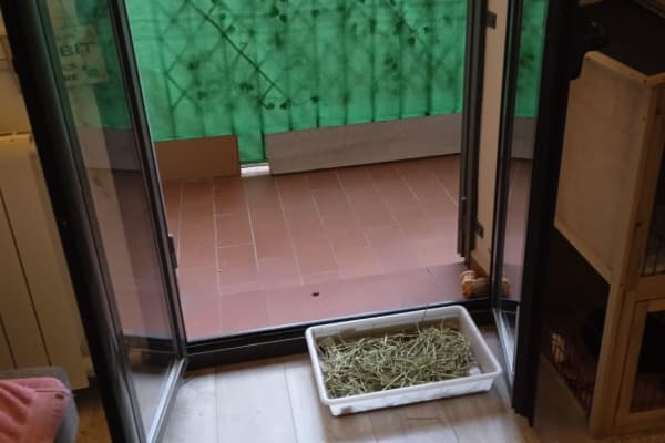 Barcelona, Catalonia, Spain