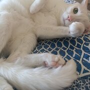 Mount Barker, South Australia, Australia