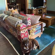 Black Forest, South Australia, Australia