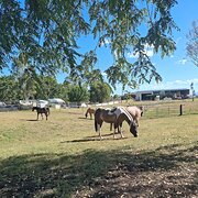 Harrisville, Queensland, Australia