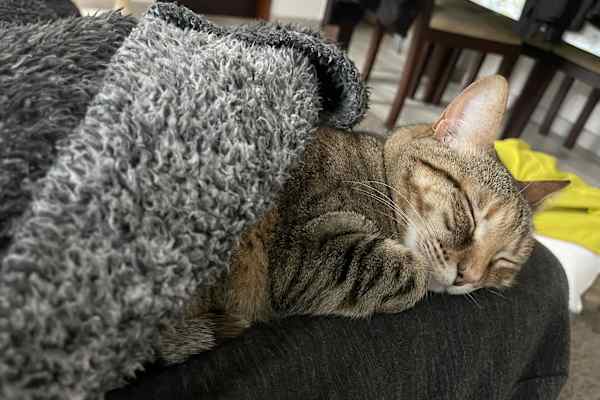 Mafra, Lisbon, Portugal