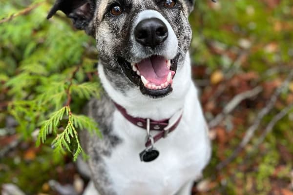 Squamish, British Columbia, Canada