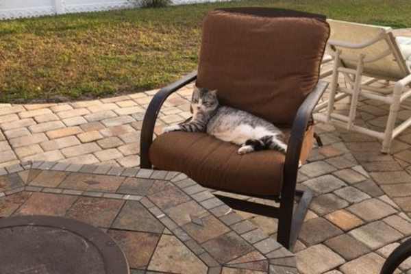 Edgewater, Florida, United States