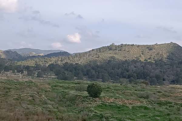 Murcia, Murcia, Spain