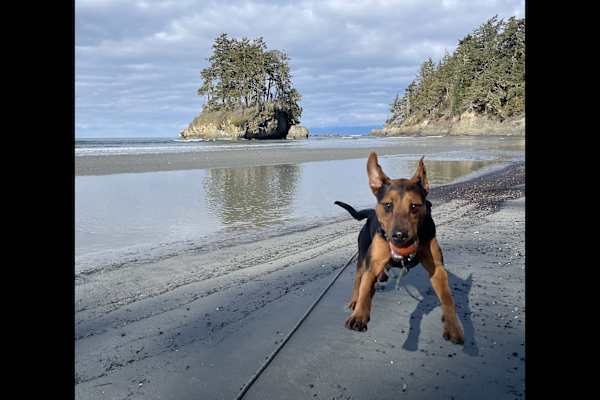 Port Angeles, Washington, United States