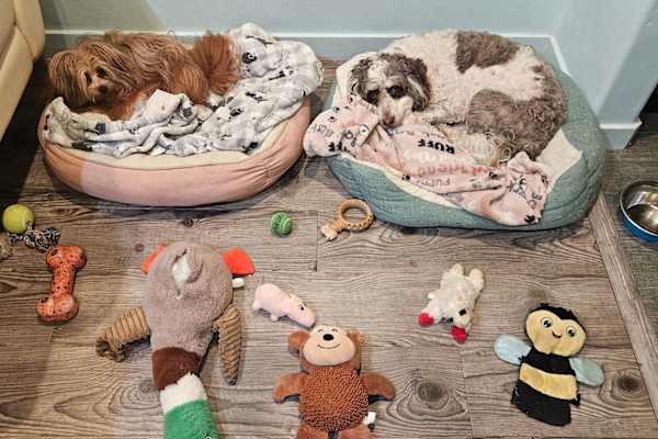 Daly City, California, United States