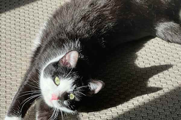 Austin, Texas, United States