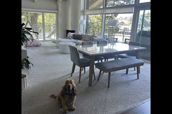 Tiburon, California, United States