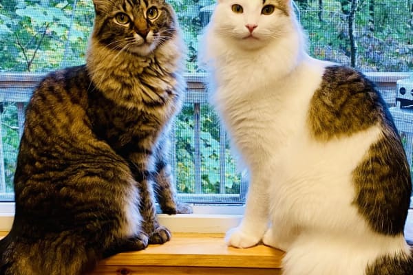 Atlanta, Georgia, United States