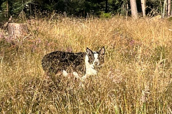 Ballater, Scotland, United Kingdom