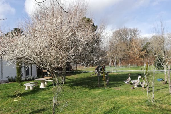 Gabarret, Nouvelle-Aquitaine, France
